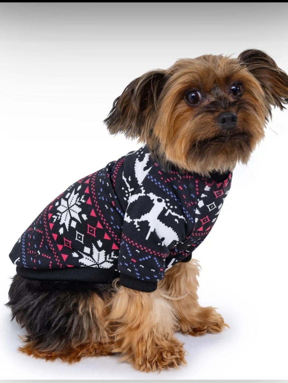 NIP Rocky Sz XXS Black Holiday Dog Sweater with Reindeer Print